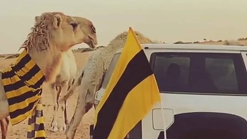 بعارين تتزين بشالات الاتحاد (فيديو)