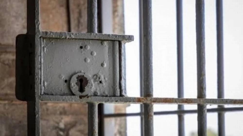 WhatsApp Image 2025-12-06 at 2.45.04 PM.jpeg