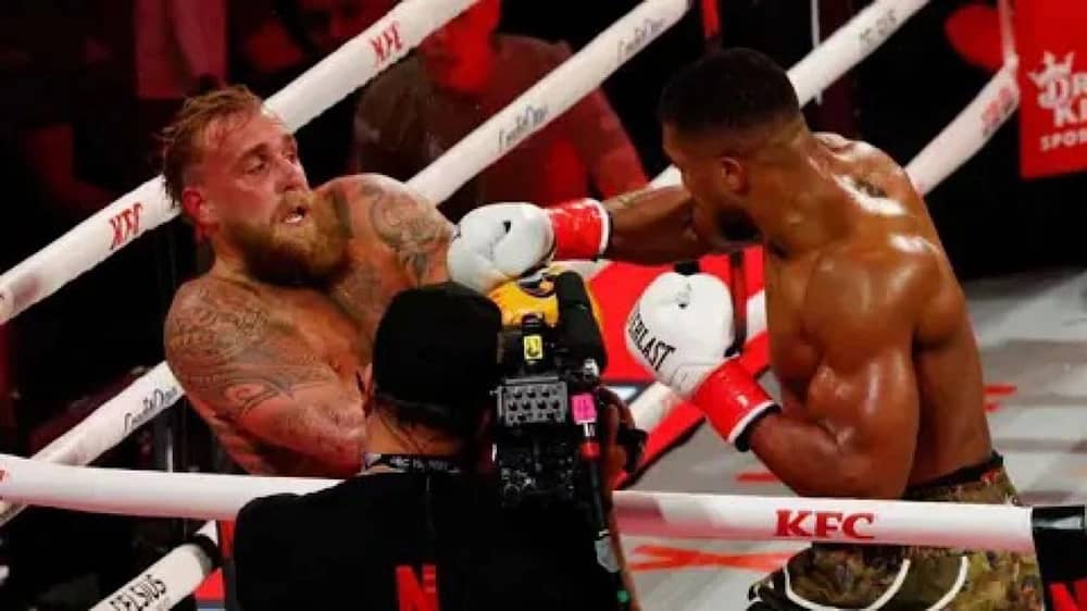 WhatsApp Image 2025-12-20 at 2.36.27 PM.jpeg