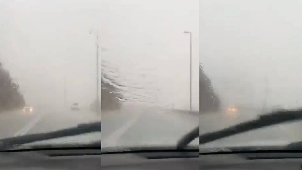 بالفيديو.. هطول أمطار الخير على رجال ألمع