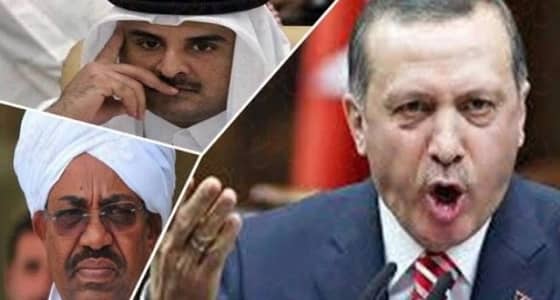 تنظيم الحمدين يستولي على 49% من عوائد "جزيرة سواكن " بالسودان