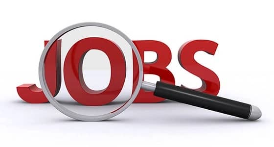 براتب 18 ألف ريال.. وظيفة شاغرة في منظمة دولية