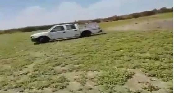 غضب بسبب وجود سيارات أسماك بجوار بركة للصرف الصحي بالطائف