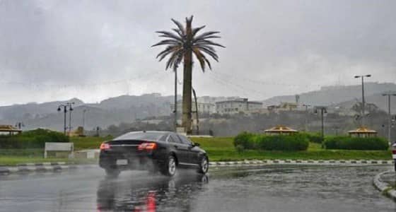 أمطار رعدية ورياح تعيق الرؤية في حائل