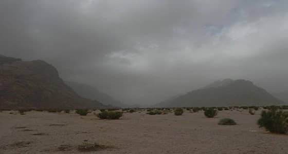 الأرصاد تحذر من إنعدام الرؤية واستمرار سقوط الأمطار بالمدينة المنورة