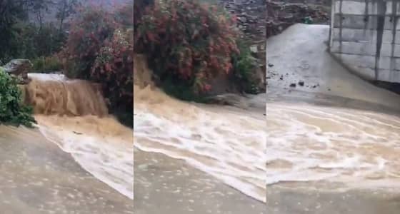 بالفيديو.. أمطار غزيرة على مركز الطويلة بالباحة
