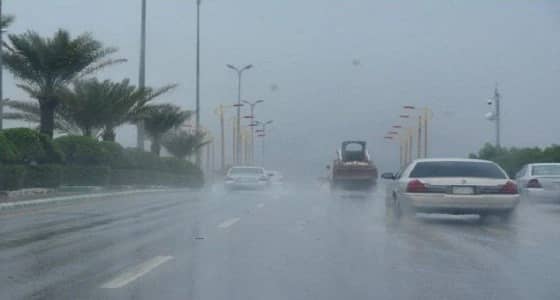 بالفيديو.. حالة الطقس المتوقعة غدًا الأحد