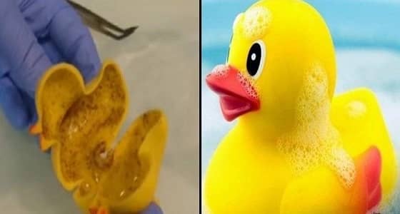 علماء يؤكدون : بطة الاستحمام خطر قاتل يهدد ملايين الأطفال