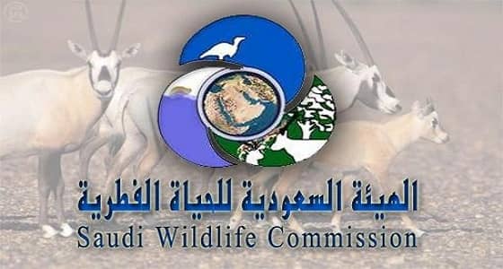 إلغاء المسابقة الوظيفية في «الحياة الفطرية»