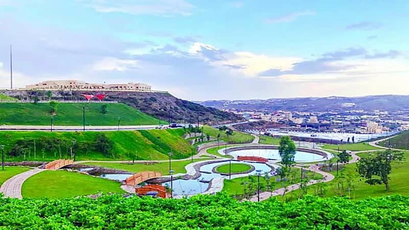 مواطن يعفو عن داهس ابنته في الباحة