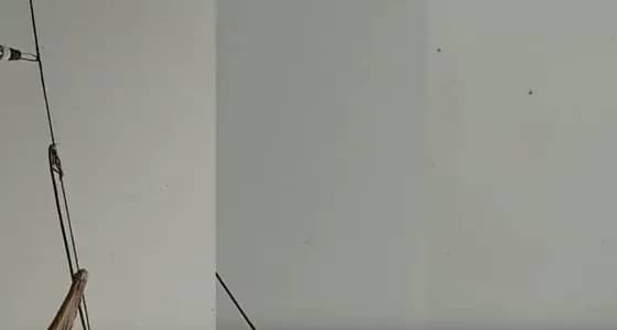 بالفيديو.. أسراب الجراد تقتحم جنوب جازان