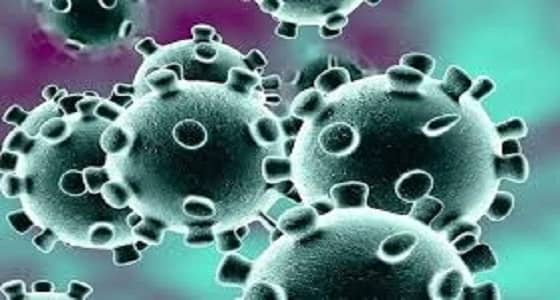 الصحة العالمية: تفشي فيروس كورونا الجديد ما يزال أزمة محلية بالصين