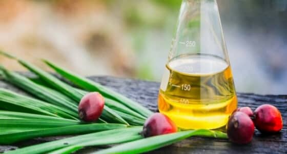 احذري.. " زيت النخيل " يؤثر سلبا على صحة الإنسان