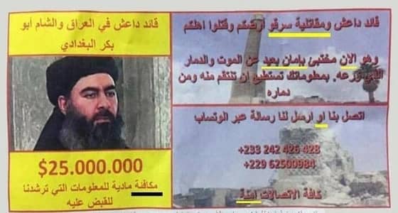 كارثة " لغوية " في منشور مكافأة القبض على البغدادي