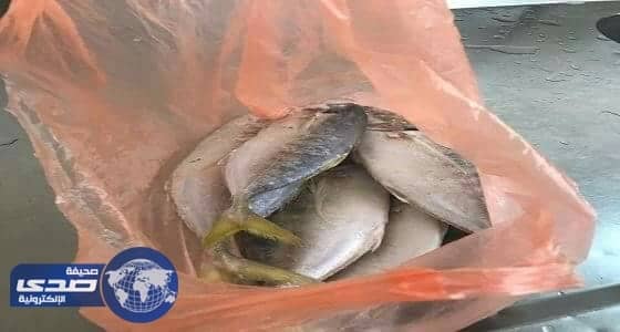 بالصور.. مصادرة كمية من الأسماك الغير صالحة في الدرب