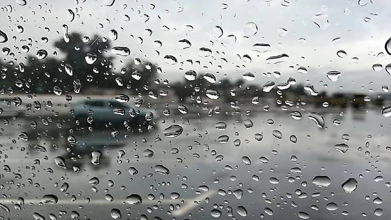 شاهد .. ألسنة النيران تلتهم شجرة ضخمة بالقرب من المسجد الأقصى