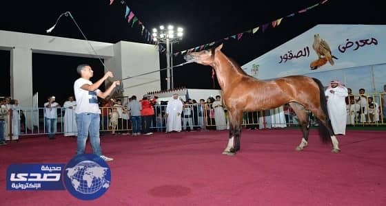 بالصور.. عروض الخيل العربية الأصيلة في مهرجان ربيع مكة