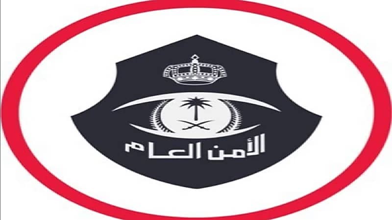 بالفيديو.. الأمن ينجح في ضبط خلية من المجرمين