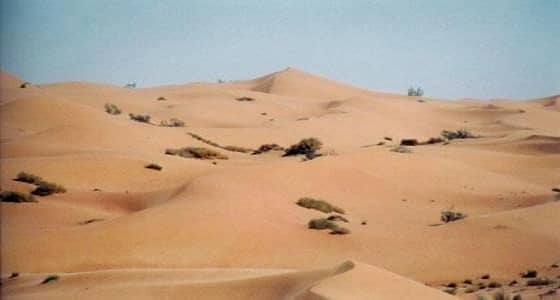 تحديد قواعد فتح حسابات بنكية لأفراد القبائل